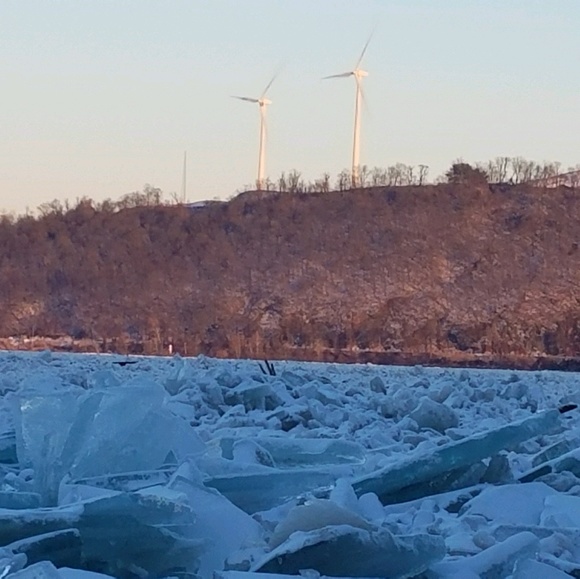 Meet your Posher, Randy - Picture 1 of 1